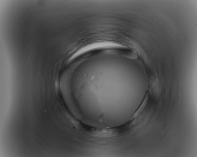 X0000088140329200705211141