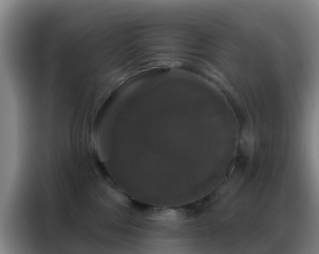 X0000088140330200705211141