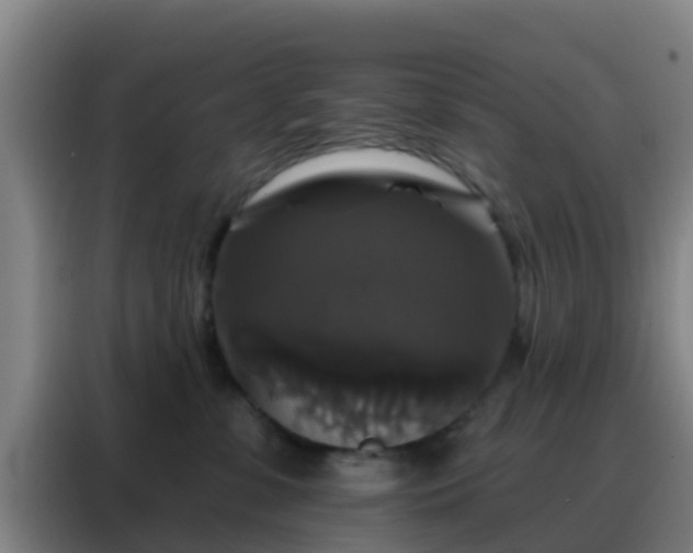 X0000088140331200705211141
