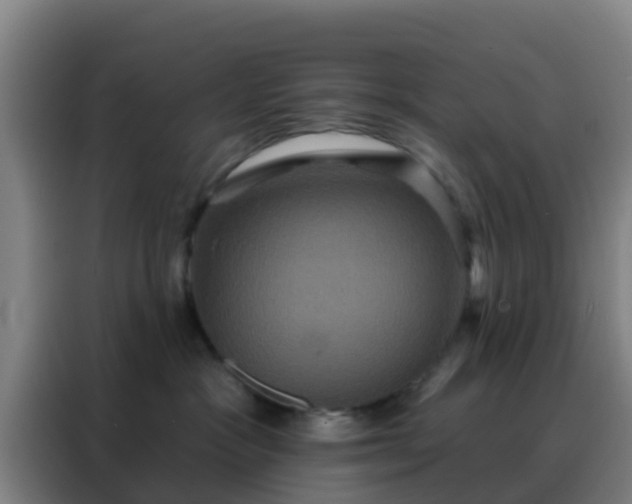 X0000088140333200705211141