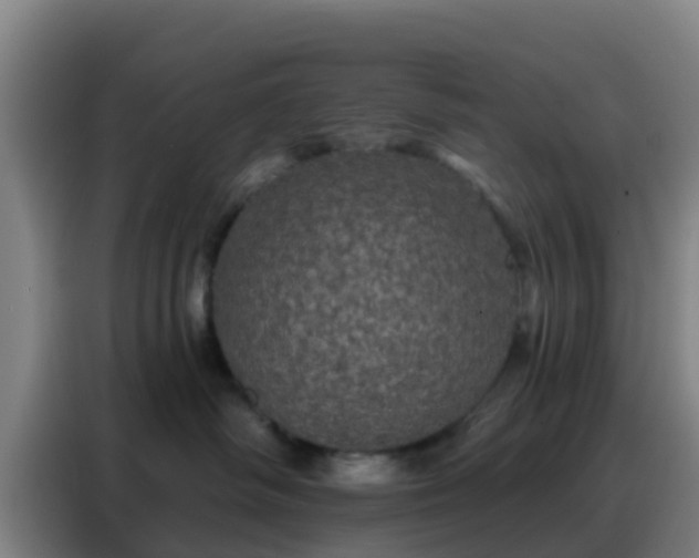 X0000088140334200705211141