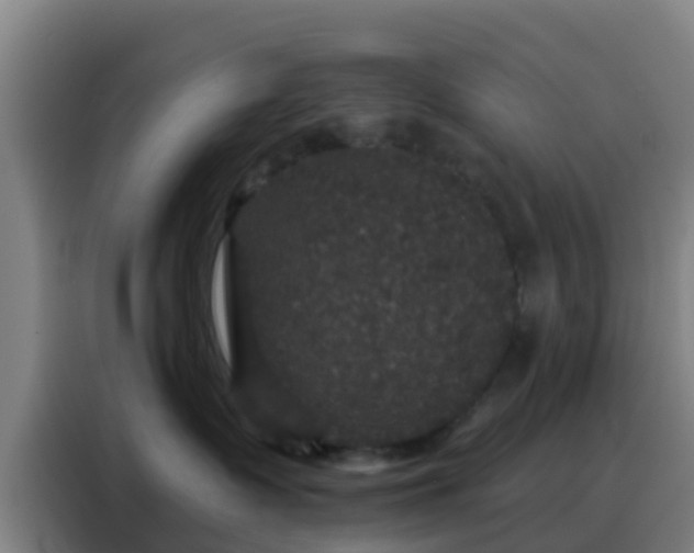 X0000088140335200705211141
