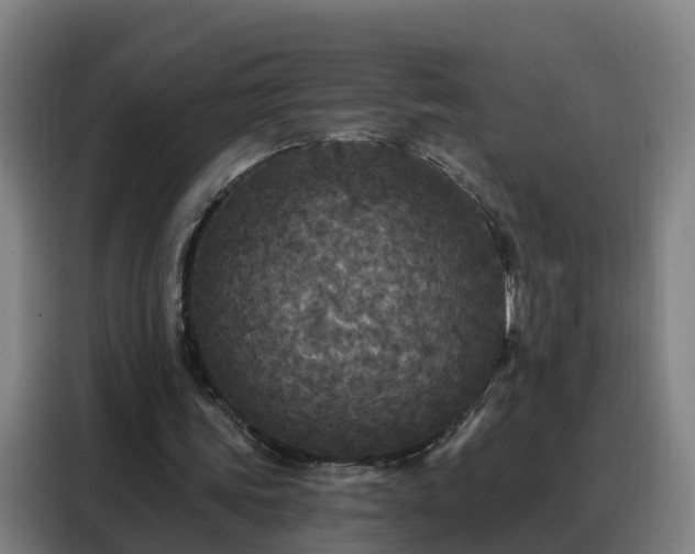 X0000088140339200705211140
