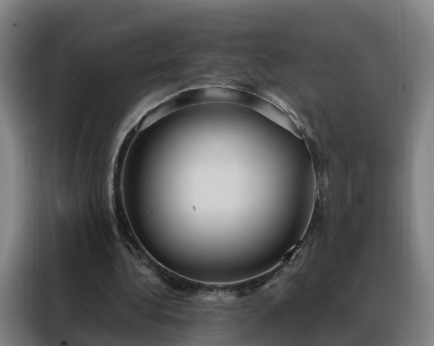 X0000088140340200705211140