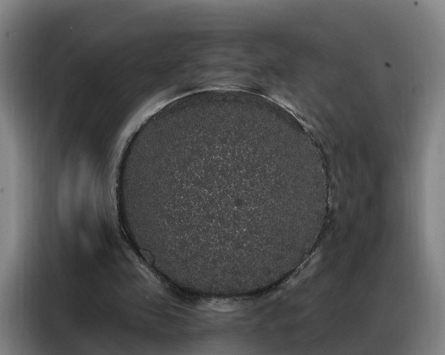 X0000088140341200705211140