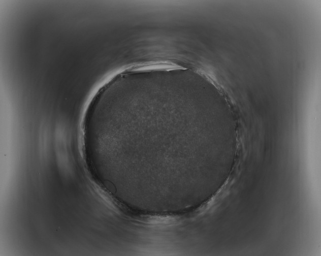 X0000088140342200705211140