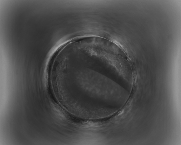 X0000088140343200705211140