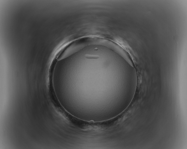 X0000088140344200705211140