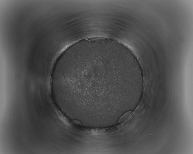 X0000088140345200705211140