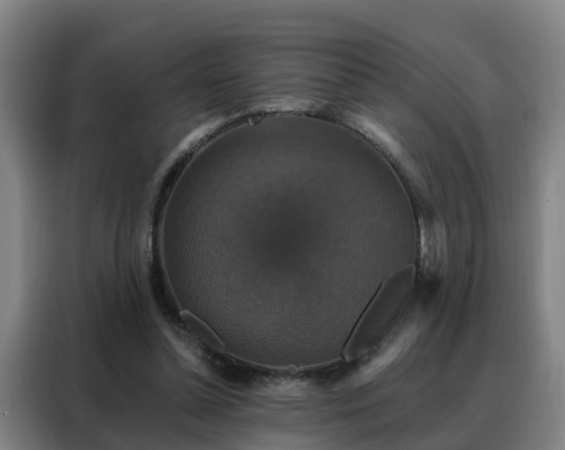 X0000088140348200705211140
