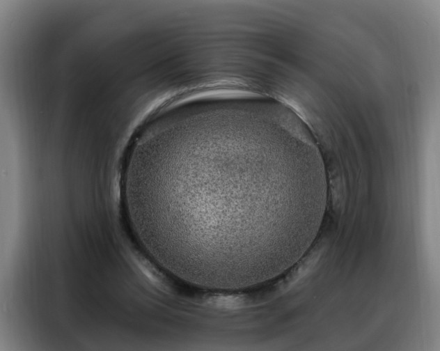 X0000088140350200705211140