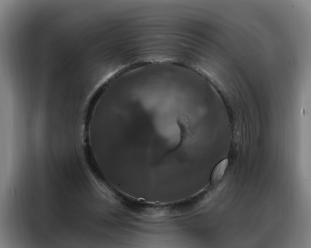 X0000088140351200705211140