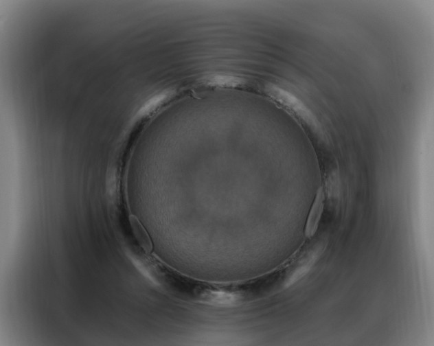 X0000088140352200705211140
