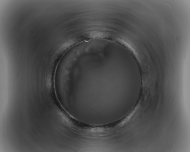 X0000088140353200705211140