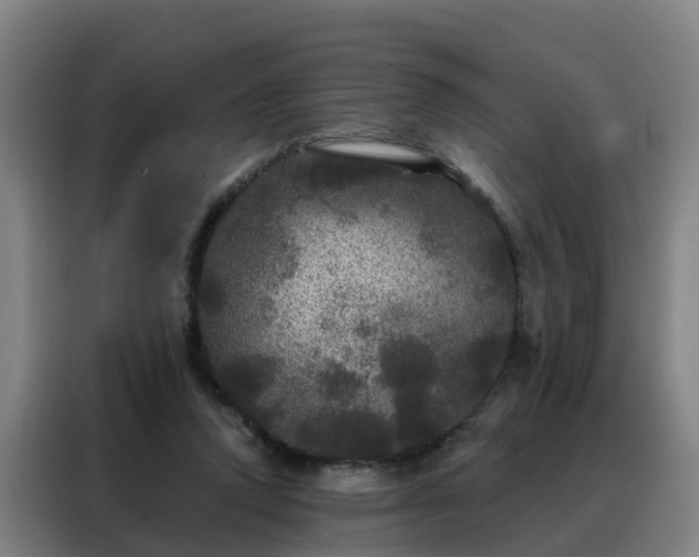 X0000088140354200705211140