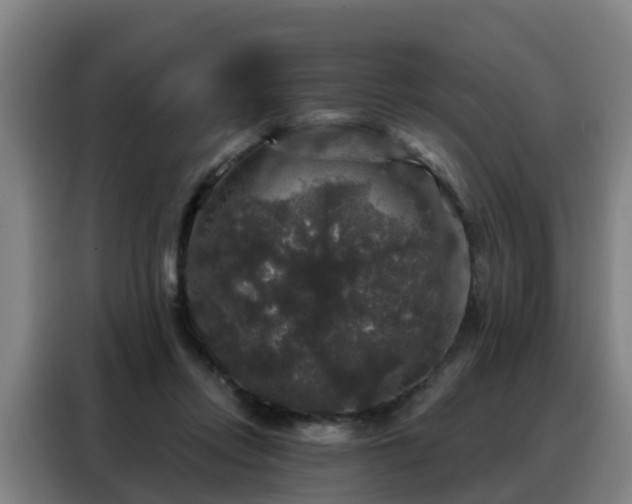 X0000088140358200705211140