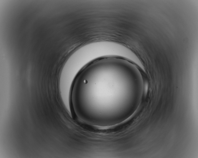 X0000088140360200705211140