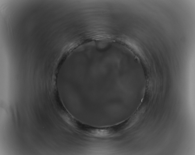 X0000088140361200705211140