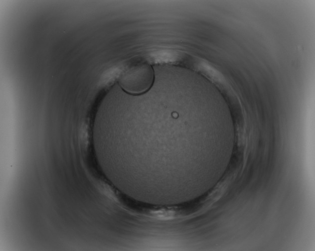 X0000088140362200705211140