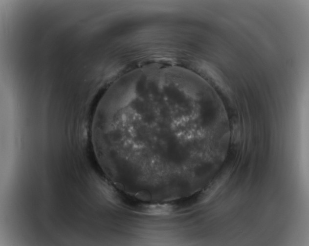 X0000088140363200705211140