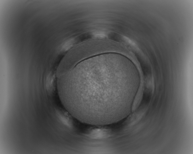 X0000088140364200705211140