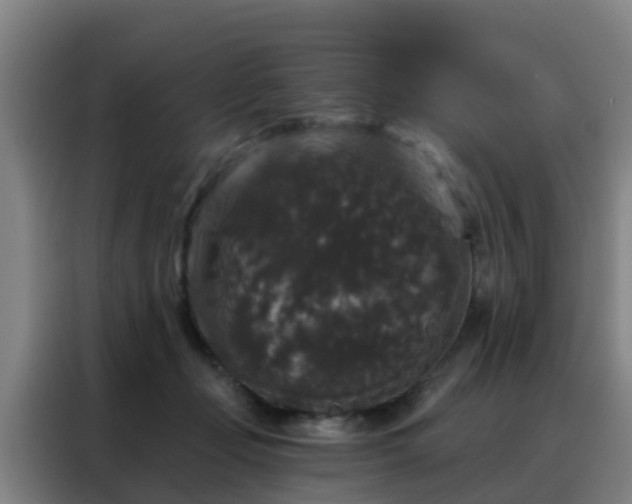 X0000088140365200705211140