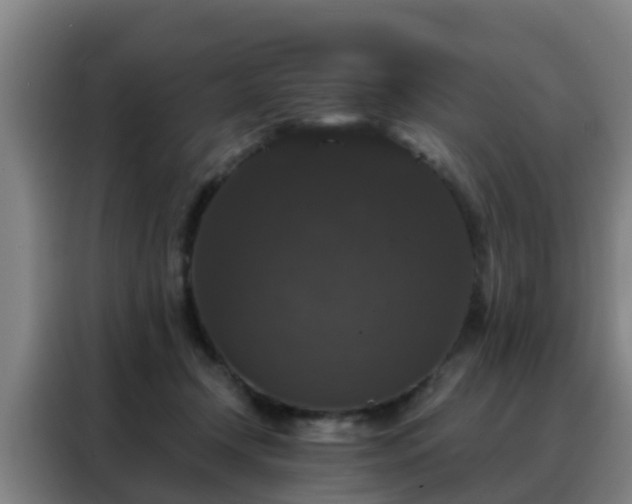 X0000088140366200705211140