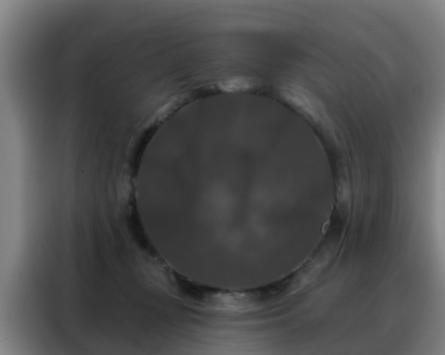 X0000088140367200705211140