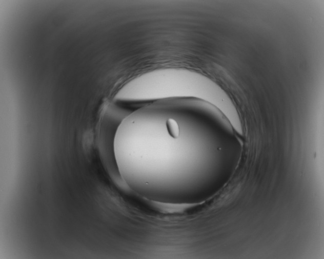 X0000088140368200705211140