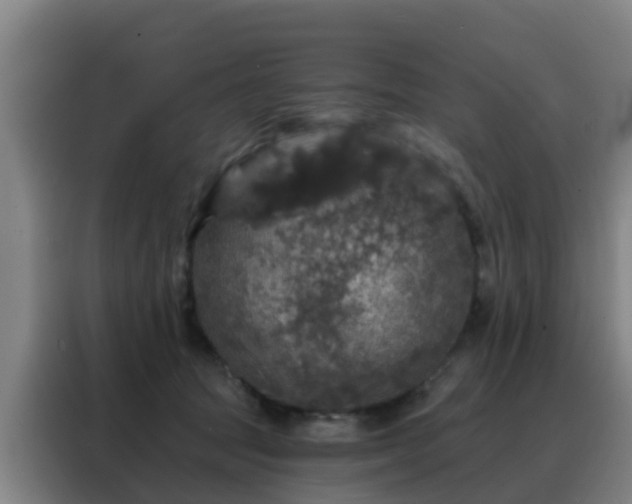X0000088140369200705211140