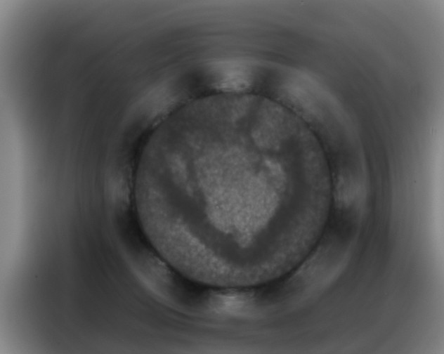 X0000088140370200705211140