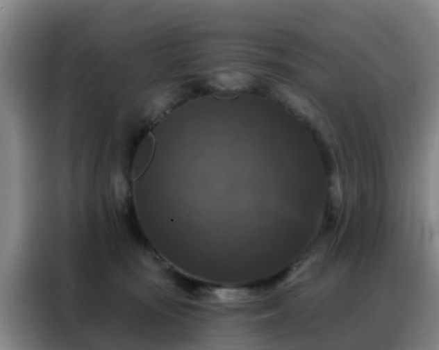 X0000088140371200705211140