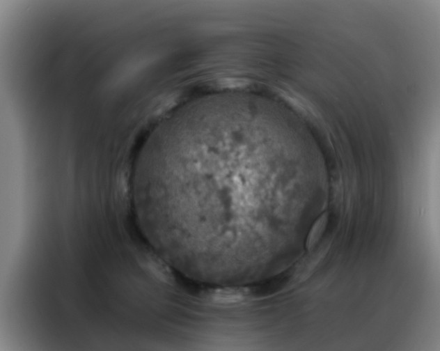 X0000088140373200705211140