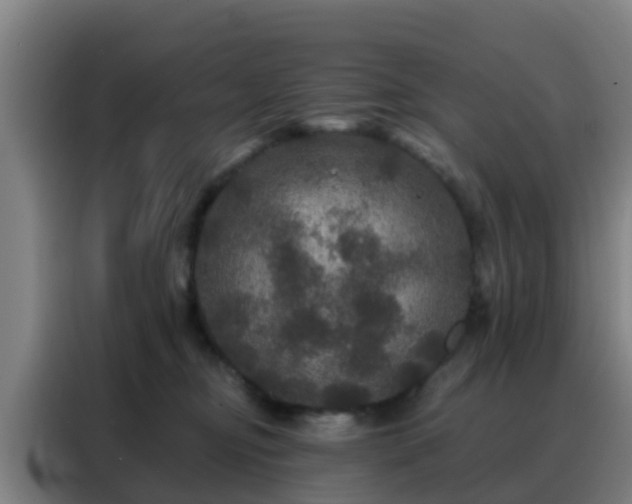 X0000088140374200705211140