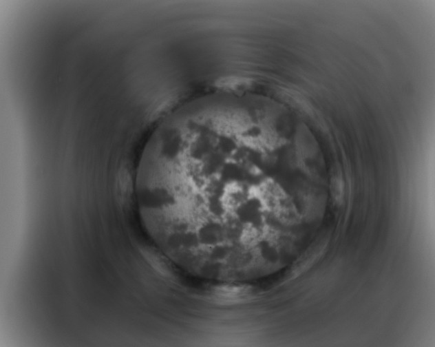 X0000088140375200705211140