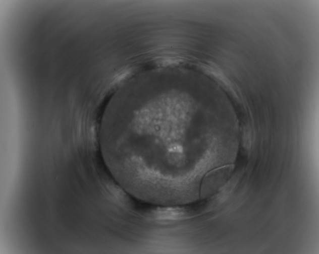 X0000088140378200705211140