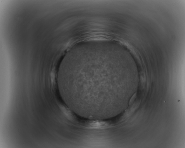 X0000088140379200705211140
