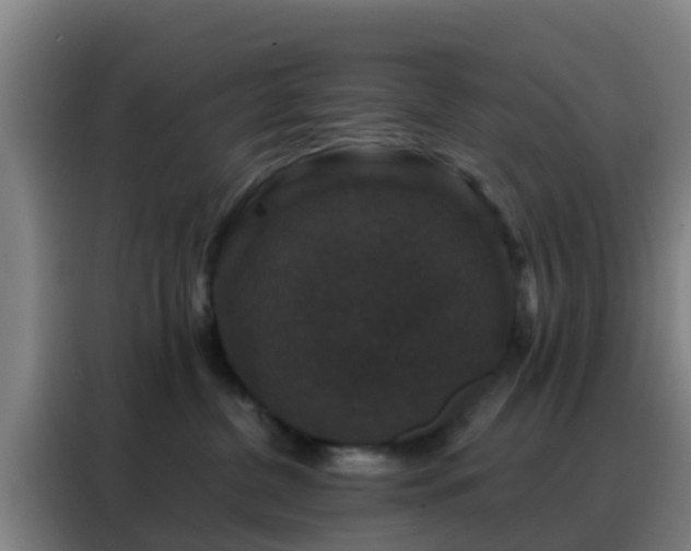 X0000088140380200705211141