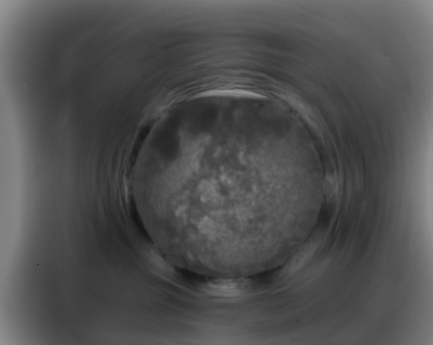 X0000088140381200705211141