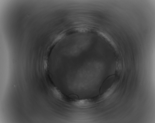 X0000088140382200705211141
