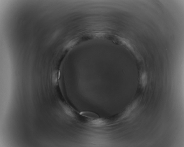 X0000088140383200705211141