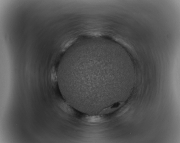 X0000088140384200705211141