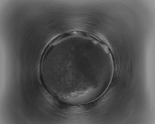 X0000088140386200705211140