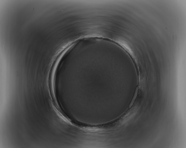 X0000088140389200705211140