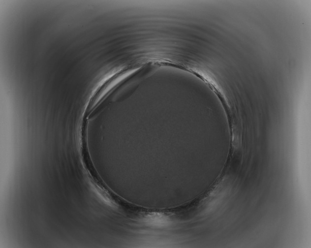 X0000088140390200705211140