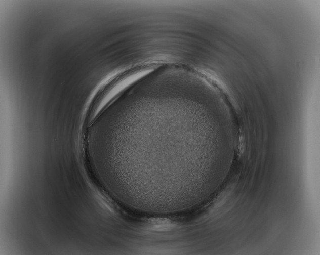 X0000088140392200705211140