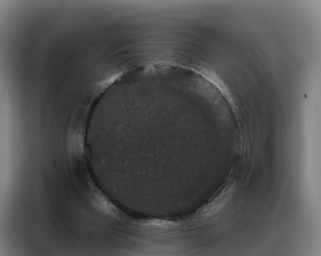 X0000088140393200705211140