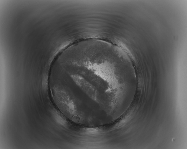 X0000088140394200705211140