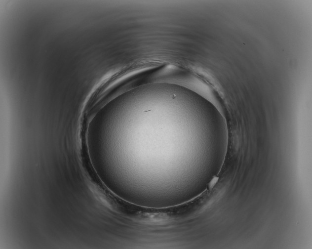 X0000088140395200705211140