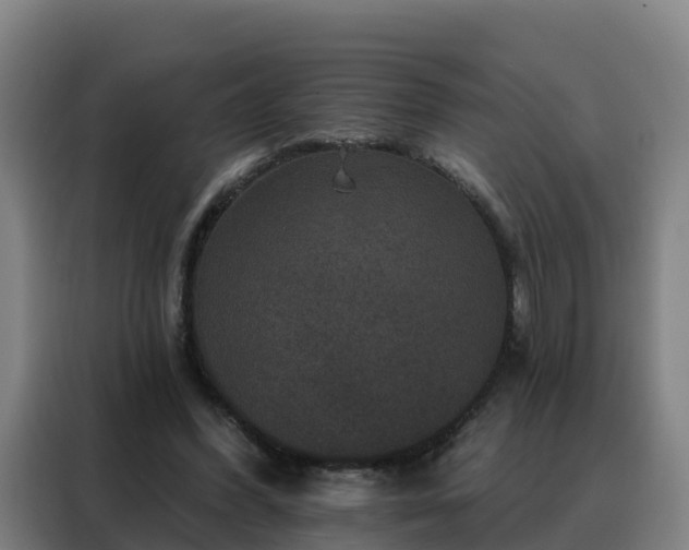 X0000088140396200705211140